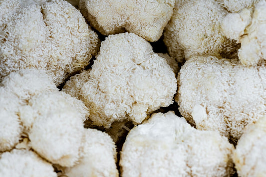 Lion’s Mane - Naturlig støtte for hukommelse, humør og søvn